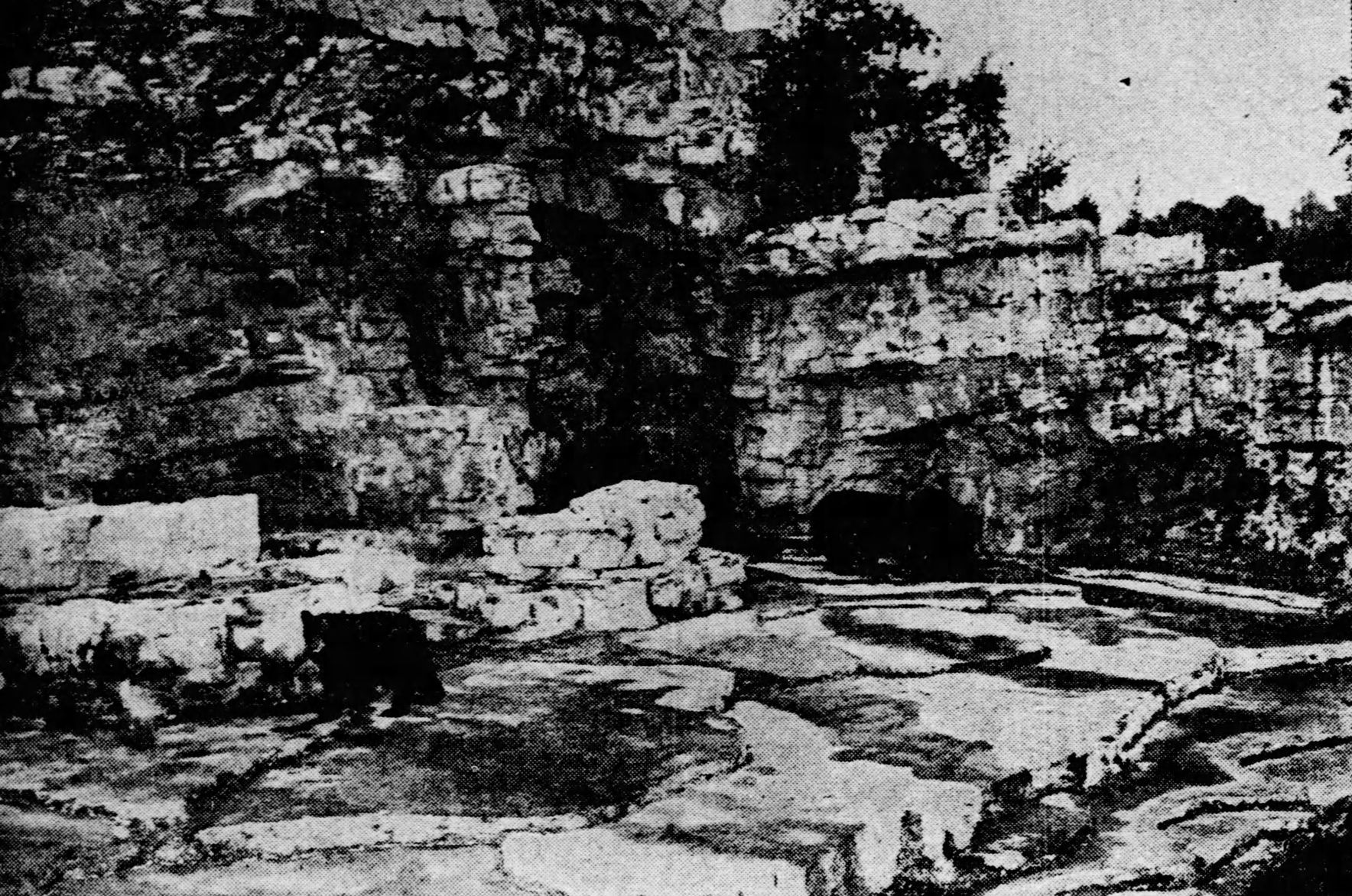 Bears at the St. Louis Zoo in 1931